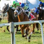 Noel’s Weekend Winners: Spotlight on Stakes Sprints on Pennsylvania Derby Day